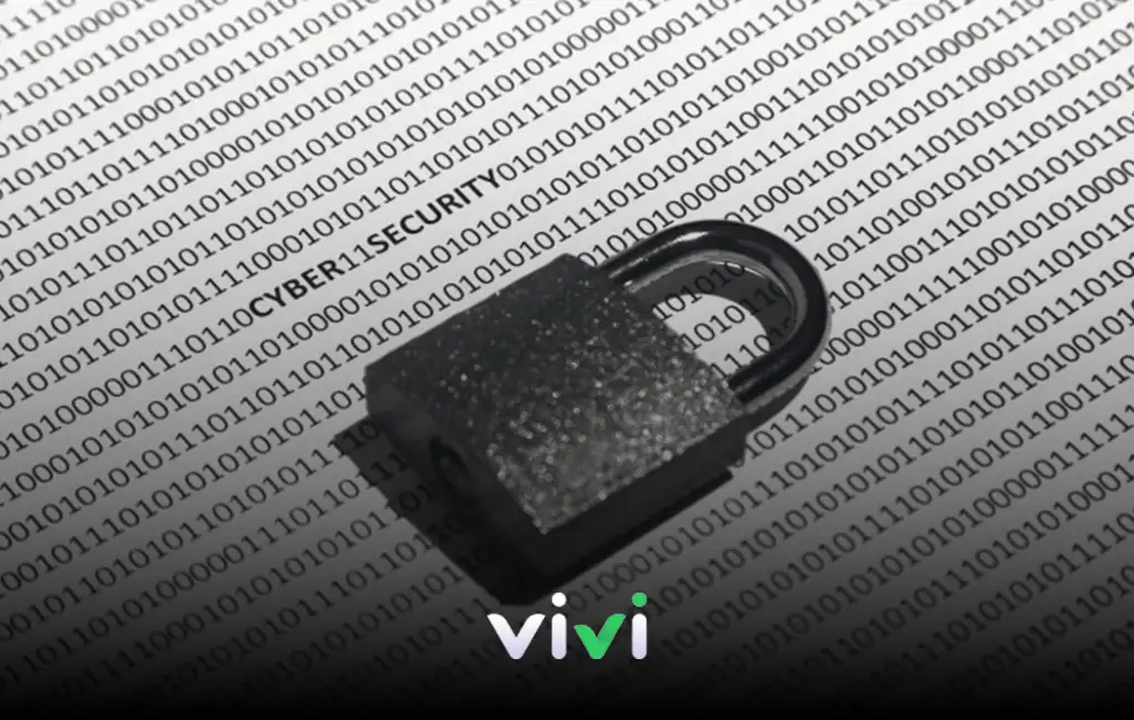 Vivi Casino Gizlilik Politikası
